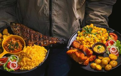 Structurer une routine alimentaire alignée avec l’époque actuelle