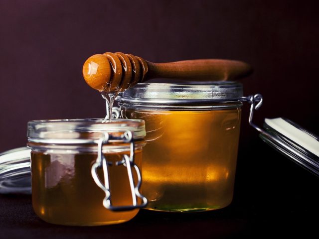 Faire et conserver du yaourt maison riche en protéines