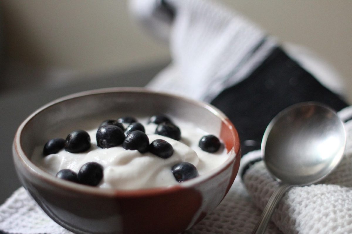 Skyr ou yaourt grec : lequel contient le plus de protéines ?