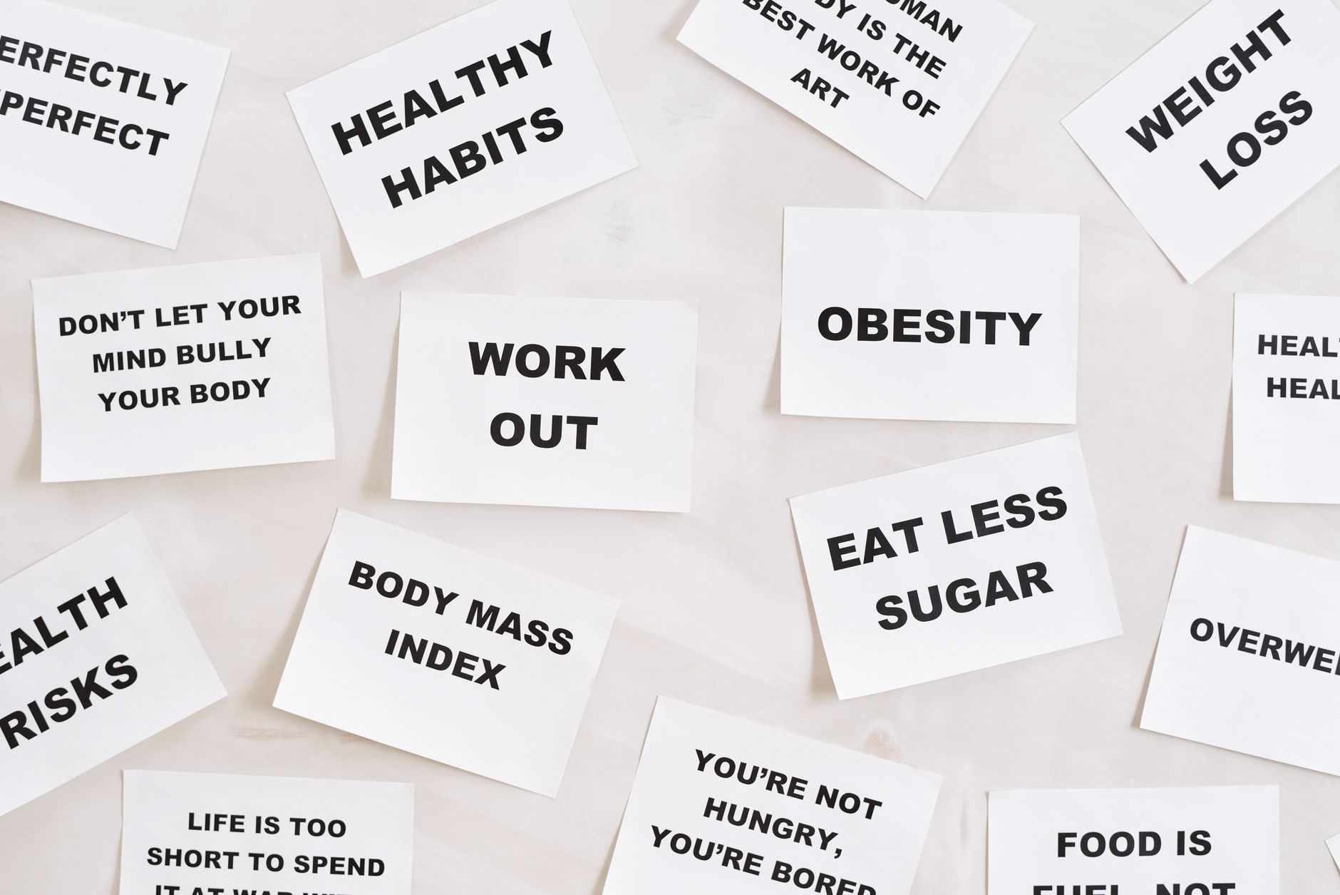 Nutrition laitière : enjeux, composition et facteurs de variation