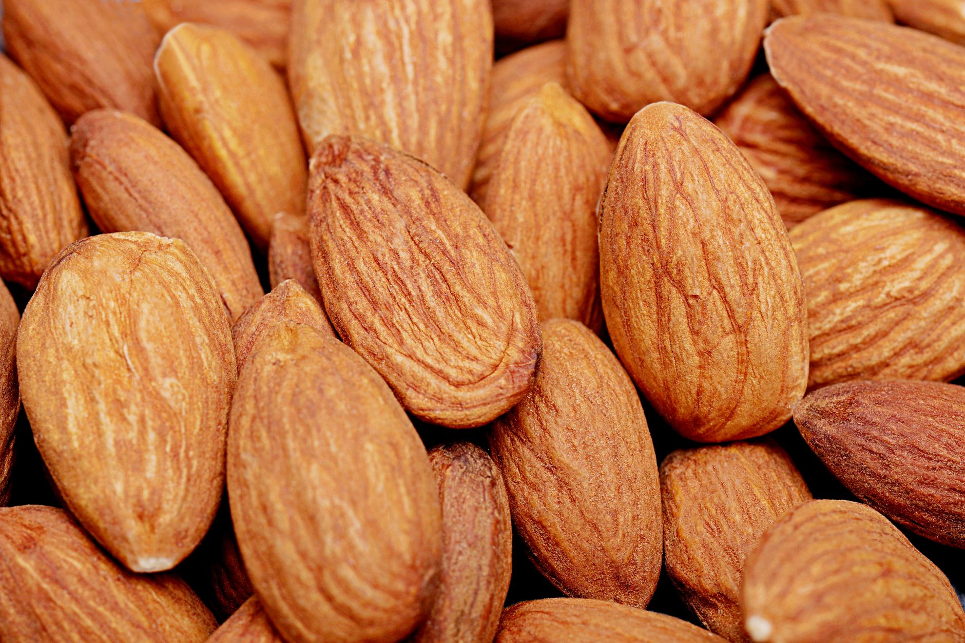 Silk ou Almond Breeze : lequel choisir pour plus de protéines ?